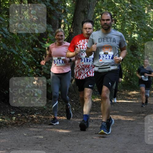 28.09.2025 - 33. Volkslauf durch das schöne Alstertal Strokosch-Dieckow http://msf.ph/oto/8969543 28.09.2025 11:30:11 Laufen 314, 3, 3175, 3347, 3217 meine-sportfotos.de