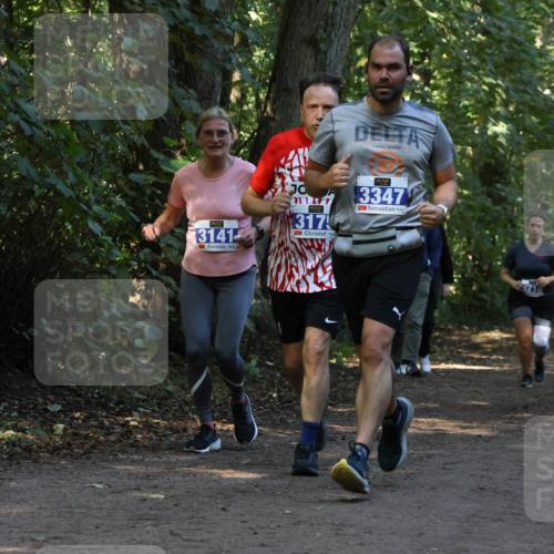 28.09.2025 - 33. Volkslauf durch das schöne Alstertal Strokosch-Dieckow http://msf.ph/oto/8969544 28.09.2025 11:30:11 Laufen 3141, 317, 3347, 3217 meine-sportfotos.de