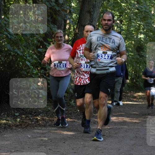 28.09.2025 - 33. Volkslauf durch das schöne Alstertal Strokosch-Dieckow http://msf.ph/oto/8969545 28.09.2025 11:30:11 Laufen 3141, 317, 1, 3347, 321, 218 meine-sportfotos.de