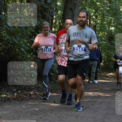 28.09.2025 - 33. Volkslauf durch das schöne Alstertal Strokosch-Dieckow http://msf.ph/oto/8969546 28.09.2025 11:30:11 Laufen 3141, 31, 3347, 3218 meine-sportfotos.de