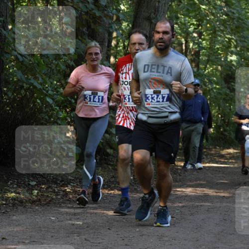 28.09.2025 - 33. Volkslauf durch das schöne Alstertal Strokosch-Dieckow http://msf.ph/oto/8969547 28.09.2025 11:30:11 Laufen 3141, 31, 3347 meine-sportfotos.de
