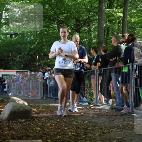 28.09.2025 - 33. Volkslauf durch das schöne Alstertal Strokosch-Dieckow http://msf.ph/oto/8969549 28.09.2025 11:50:16 Ziel 1614, 3389, 3390 meine-sportfotos.de