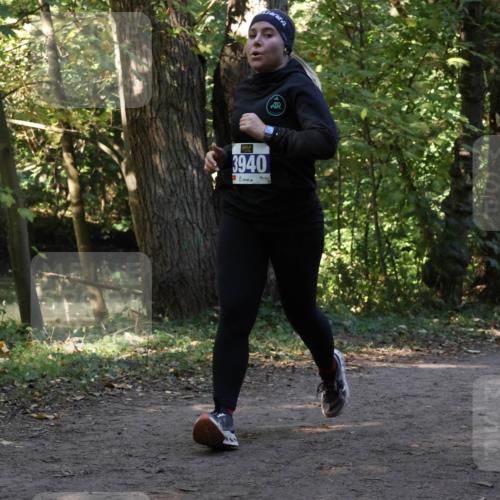 28.09.2025 - 33. Volkslauf durch das schöne Alstertal Strokosch-Dieckow http://msf.ph/oto/8969558 28.09.2025 11:30:26 Laufen 3940 meine-sportfotos.de