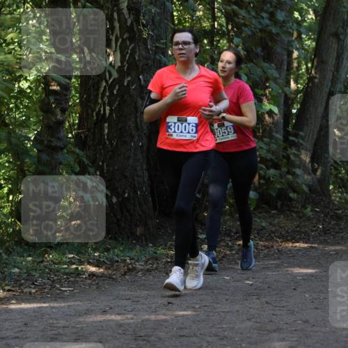 28.09.2025 - 33. Volkslauf durch das schöne Alstertal Strokosch-Dieckow http://msf.ph/oto/8969564 28.09.2025 11:30:37 Laufen 3006, 3059 meine-sportfotos.de