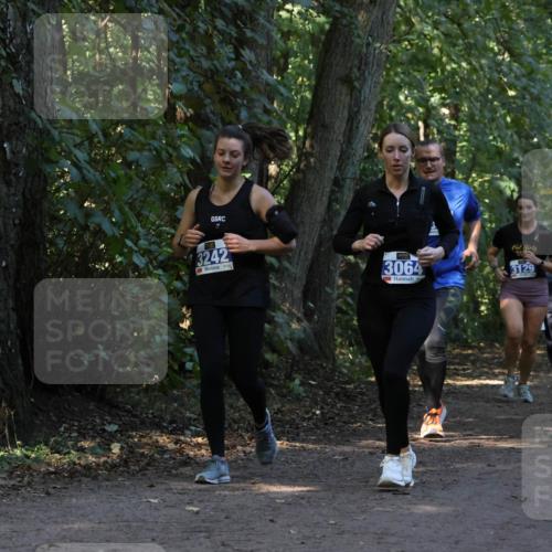 28.09.2025 - 33. Volkslauf durch das schöne Alstertal Strokosch-Dieckow http://msf.ph/oto/8969565 28.09.2025 11:30:59 Laufen 7, 3242, 3064, 3129 meine-sportfotos.de