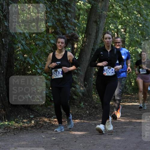 28.09.2025 - 33. Volkslauf durch das schöne Alstertal Strokosch-Dieckow http://msf.ph/oto/8969566 28.09.2025 11:30:59 Laufen 3242, 3064, 3129 meine-sportfotos.de