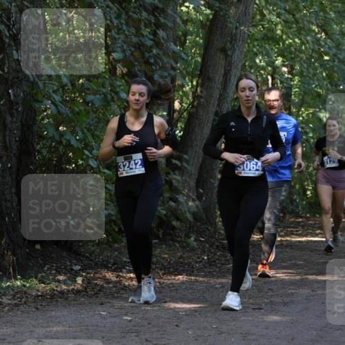 28.09.2025 - 33. Volkslauf durch das schöne Alstertal Strokosch-Dieckow http://msf.ph/oto/8969567 28.09.2025 11:30:59 Laufen 3242, 3064, 3129 meine-sportfotos.de