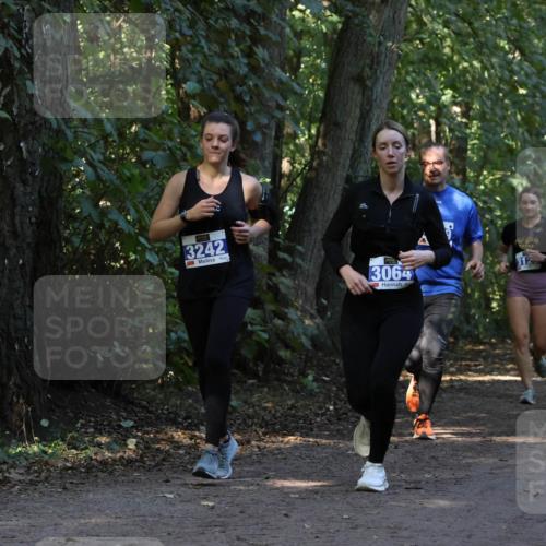 28.09.2025 - 33. Volkslauf durch das schöne Alstertal Strokosch-Dieckow http://msf.ph/oto/8969568 28.09.2025 11:30:59 Laufen 3242, 3064 meine-sportfotos.de