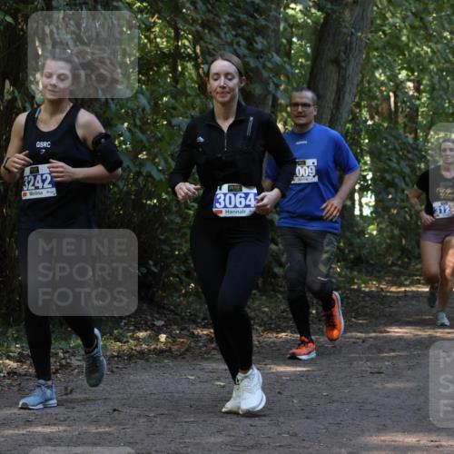 28.09.2025 - 33. Volkslauf durch das schöne Alstertal Strokosch-Dieckow http://msf.ph/oto/8969569 28.09.2025 11:31:01 Laufen 3242, 3064, 009, 312 meine-sportfotos.de