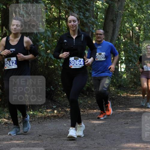 28.09.2025 - 33. Volkslauf durch das schöne Alstertal Strokosch-Dieckow http://msf.ph/oto/8969570 28.09.2025 11:31:01 Laufen 3242, 3064, 3009, 3129 meine-sportfotos.de