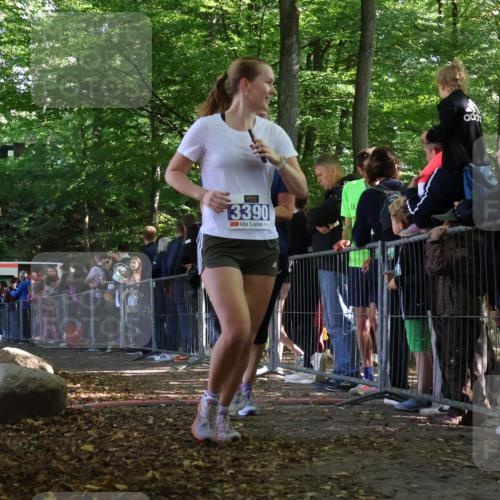 28.09.2025 - 33. Volkslauf durch das schöne Alstertal Strokosch-Dieckow http://msf.ph/oto/8969571 28.09.2025 11:50:17 Ziel 1614, 3389, 3390 meine-sportfotos.de