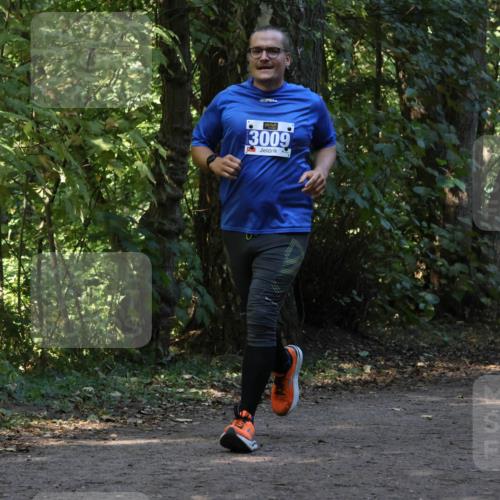 28.09.2025 - 33. Volkslauf durch das schöne Alstertal Strokosch-Dieckow http://msf.ph/oto/8969572 28.09.2025 11:31:02 Laufen 64, 3009, 0000, 3129 meine-sportfotos.de