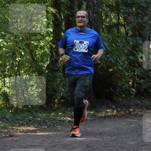 28.09.2025 - 33. Volkslauf durch das schöne Alstertal Strokosch-Dieckow http://msf.ph/oto/8969573 28.09.2025 11:31:02 Laufen 3009, 3129 meine-sportfotos.de