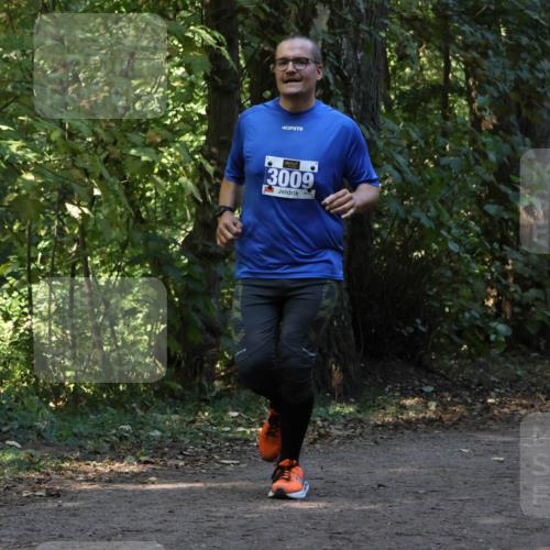 28.09.2025 - 33. Volkslauf durch das schöne Alstertal Strokosch-Dieckow http://msf.ph/oto/8969574 28.09.2025 11:31:03 Laufen 3009, 00000, 3129 meine-sportfotos.de