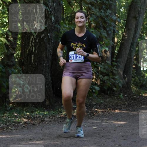 28.09.2025 - 33. Volkslauf durch das schöne Alstertal Strokosch-Dieckow http://msf.ph/oto/8969577 28.09.2025 11:31:04 Laufen 3129 meine-sportfotos.de