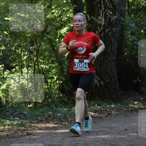 28.09.2025 - 33. Volkslauf durch das schöne Alstertal Strokosch-Dieckow http://msf.ph/oto/8969579 28.09.2025 11:31:12 Laufen 3004 meine-sportfotos.de