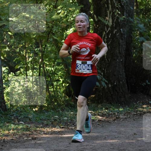 28.09.2025 - 33. Volkslauf durch das schöne Alstertal Strokosch-Dieckow http://msf.ph/oto/8969580 28.09.2025 11:31:12 Laufen 3004 meine-sportfotos.de