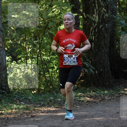 28.09.2025 - 33. Volkslauf durch das schöne Alstertal Strokosch-Dieckow http://msf.ph/oto/8969581 28.09.2025 11:31:12 Laufen 3004 meine-sportfotos.de