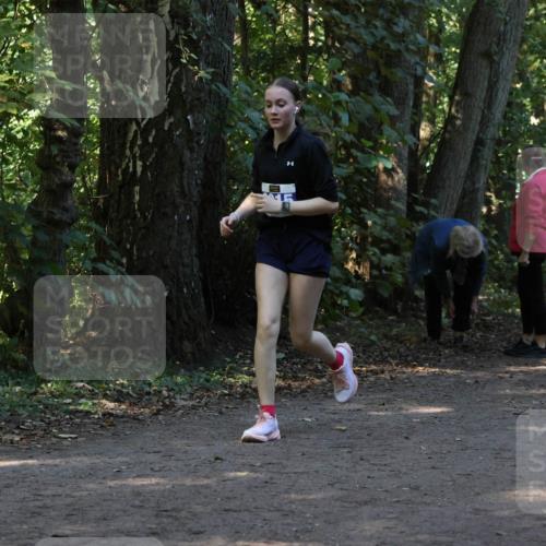 28.09.2025 - 33. Volkslauf durch das schöne Alstertal Strokosch-Dieckow http://msf.ph/oto/8969582 28.09.2025 11:31:23 Laufen 3013 meine-sportfotos.de