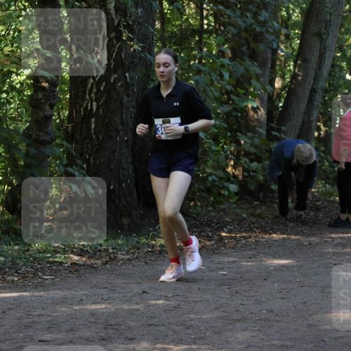 28.09.2025 - 33. Volkslauf durch das schöne Alstertal Strokosch-Dieckow http://msf.ph/oto/8969584 28.09.2025 11:31:23 Laufen 31, 3013 meine-sportfotos.de