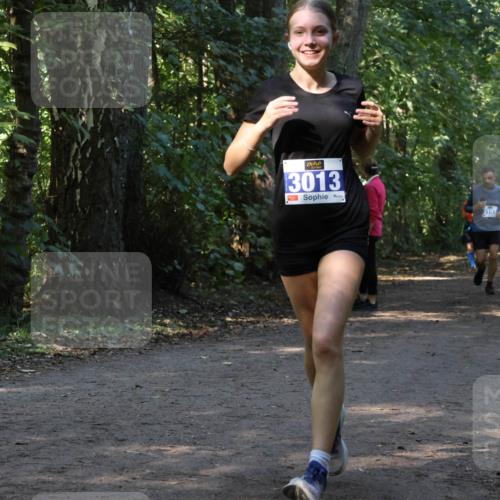 28.09.2025 - 33. Volkslauf durch das schöne Alstertal Strokosch-Dieckow http://msf.ph/oto/8969585 28.09.2025 11:31:24 Laufen 3013, 9, 3103 meine-sportfotos.de