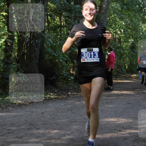 28.09.2025 - 33. Volkslauf durch das schöne Alstertal Strokosch-Dieckow http://msf.ph/oto/8969586 28.09.2025 11:31:24 Laufen 3013 meine-sportfotos.de