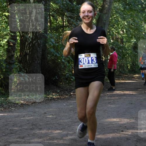 28.09.2025 - 33. Volkslauf durch das schöne Alstertal Strokosch-Dieckow http://msf.ph/oto/8969587 28.09.2025 11:31:24 Laufen 3013, 3103 meine-sportfotos.de