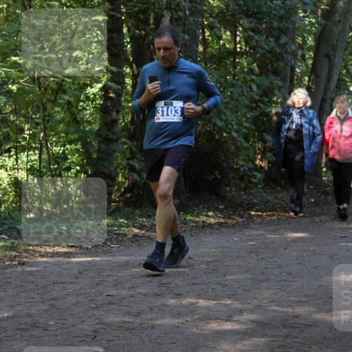 28.09.2025 - 33. Volkslauf durch das schöne Alstertal Strokosch-Dieckow http://msf.ph/oto/8969589 28.09.2025 11:31:30 Laufen 3103 meine-sportfotos.de