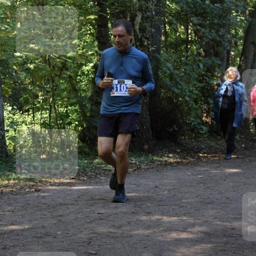 28.09.2025 - 33. Volkslauf durch das schöne Alstertal Strokosch-Dieckow http://msf.ph/oto/8969593 28.09.2025 11:31:30 Laufen 3103 meine-sportfotos.de