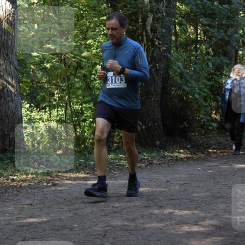 28.09.2025 - 33. Volkslauf durch das schöne Alstertal Strokosch-Dieckow http://msf.ph/oto/8969595 28.09.2025 11:31:30 Laufen 3103 meine-sportfotos.de