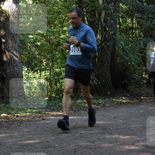 28.09.2025 - 33. Volkslauf durch das schöne Alstertal Strokosch-Dieckow http://msf.ph/oto/8969596 28.09.2025 11:31:30 Laufen 3103 meine-sportfotos.de