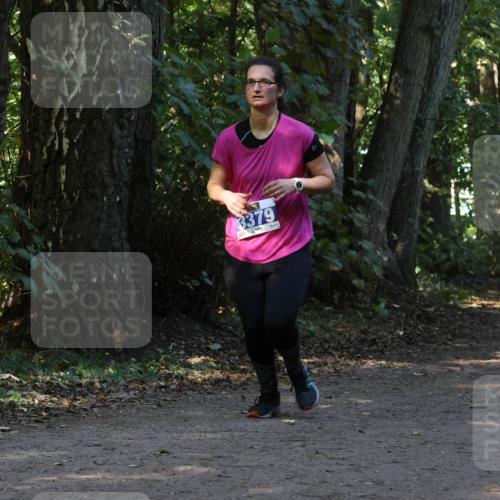 28.09.2025 - 33. Volkslauf durch das schöne Alstertal Strokosch-Dieckow http://msf.ph/oto/8969600 28.09.2025 11:31:42 Laufen 3379, 3086 meine-sportfotos.de