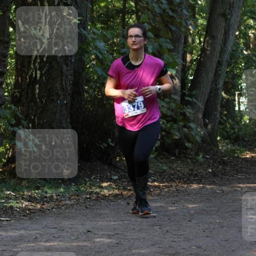 28.09.2025 - 33. Volkslauf durch das schöne Alstertal Strokosch-Dieckow http://msf.ph/oto/8969601 28.09.2025 11:31:42 Laufen 3379, 3086 meine-sportfotos.de
