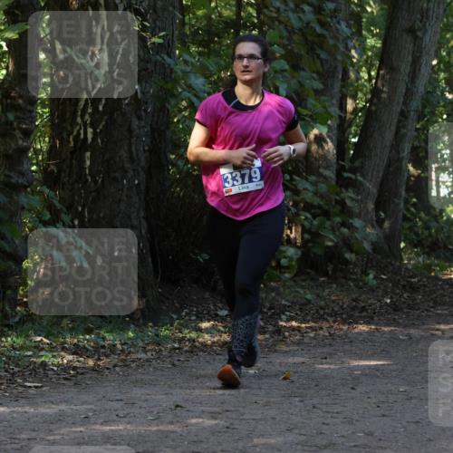 28.09.2025 - 33. Volkslauf durch das schöne Alstertal Strokosch-Dieckow http://msf.ph/oto/8969603 28.09.2025 11:31:42 Laufen 3379, 3086 meine-sportfotos.de