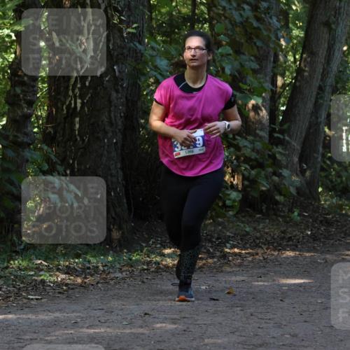 28.09.2025 - 33. Volkslauf durch das schöne Alstertal Strokosch-Dieckow http://msf.ph/oto/8969604 28.09.2025 11:31:43 Laufen 39, 3086 meine-sportfotos.de