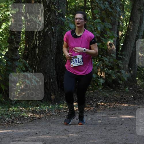 28.09.2025 - 33. Volkslauf durch das schöne Alstertal Strokosch-Dieckow http://msf.ph/oto/8969606 28.09.2025 11:31:43 Laufen 3379, 3086 meine-sportfotos.de