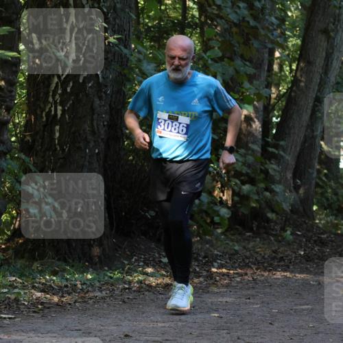 28.09.2025 - 33. Volkslauf durch das schöne Alstertal Strokosch-Dieckow http://msf.ph/oto/8969607 28.09.2025 11:31:48 Laufen 3086, 3397 meine-sportfotos.de