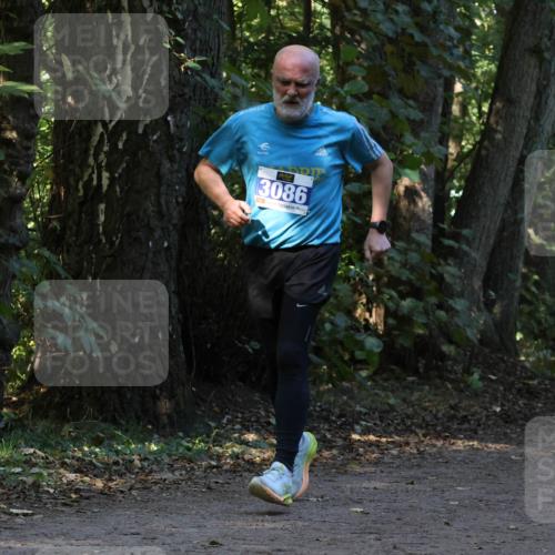 28.09.2025 - 33. Volkslauf durch das schöne Alstertal Strokosch-Dieckow http://msf.ph/oto/8969608 28.09.2025 11:31:48 Laufen 3086, 3397 meine-sportfotos.de