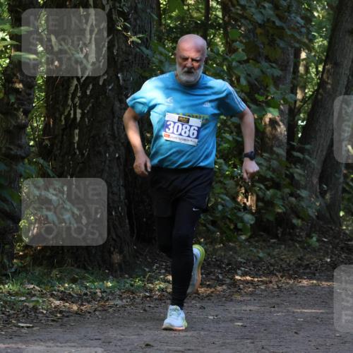 28.09.2025 - 33. Volkslauf durch das schöne Alstertal Strokosch-Dieckow http://msf.ph/oto/8969610 28.09.2025 11:31:48 Laufen 3086, 3397, 326 meine-sportfotos.de