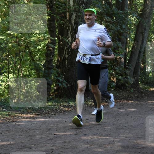 28.09.2025 - 33. Volkslauf durch das schöne Alstertal Strokosch-Dieckow http://msf.ph/oto/8969619 28.09.2025 11:32:06 Laufen 3182 meine-sportfotos.de