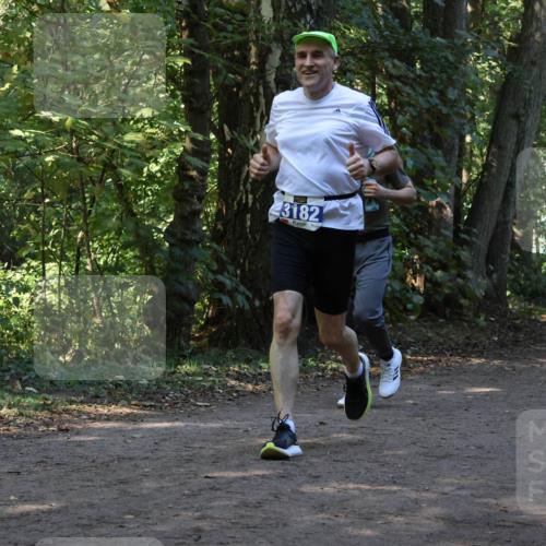 28.09.2025 - 33. Volkslauf durch das schöne Alstertal Strokosch-Dieckow http://msf.ph/oto/8969620 28.09.2025 11:32:06 Laufen 3182 meine-sportfotos.de
