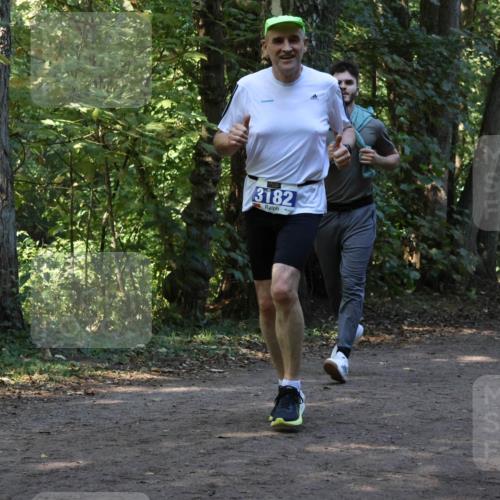 28.09.2025 - 33. Volkslauf durch das schöne Alstertal Strokosch-Dieckow http://msf.ph/oto/8969623 28.09.2025 11:32:06 Laufen 3182 meine-sportfotos.de