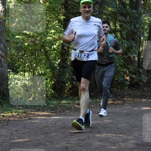 28.09.2025 - 33. Volkslauf durch das schöne Alstertal Strokosch-Dieckow http://msf.ph/oto/8969624 28.09.2025 11:32:06 Laufen 3182 meine-sportfotos.de