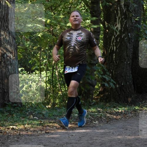 28.09.2025 - 33. Volkslauf durch das schöne Alstertal Strokosch-Dieckow http://msf.ph/oto/8969630 28.09.2025 11:32:19 Laufen 3340 meine-sportfotos.de