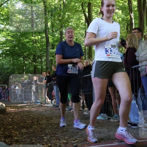28.09.2025 - 33. Volkslauf durch das schöne Alstertal Strokosch-Dieckow http://msf.ph/oto/8969633 28.09.2025 11:50:18 Ziel 1614, 3389 meine-sportfotos.de
