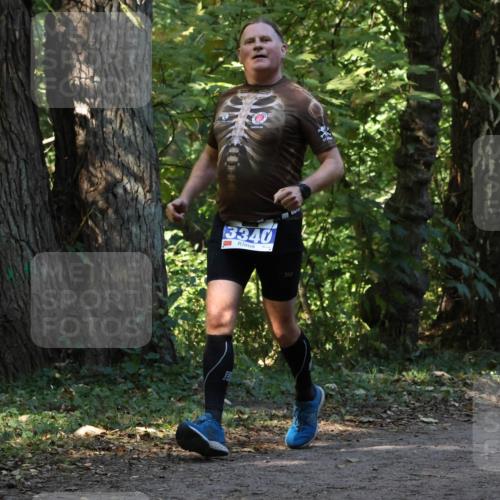 28.09.2025 - 33. Volkslauf durch das schöne Alstertal Strokosch-Dieckow http://msf.ph/oto/8969636 28.09.2025 11:32:19 Laufen 3340 meine-sportfotos.de