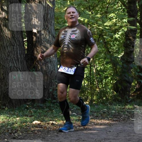 28.09.2025 - 33. Volkslauf durch das schöne Alstertal Strokosch-Dieckow http://msf.ph/oto/8969638 28.09.2025 11:32:19 Laufen 3340 meine-sportfotos.de