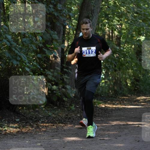 28.09.2025 - 33. Volkslauf durch das schöne Alstertal Strokosch-Dieckow http://msf.ph/oto/8969640 28.09.2025 11:32:31 Laufen 3112 meine-sportfotos.de