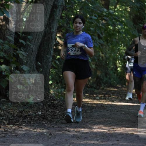 28.09.2025 - 33. Volkslauf durch das schöne Alstertal Strokosch-Dieckow http://msf.ph/oto/8969643 28.09.2025 11:32:42 Laufen 3395 meine-sportfotos.de