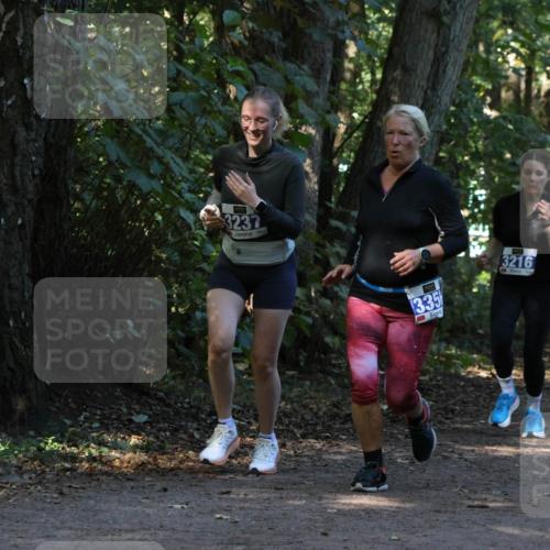 28.09.2025 - 33. Volkslauf durch das schöne Alstertal Strokosch-Dieckow http://msf.ph/oto/8969648 28.09.2025 11:32:51 Laufen 3237, 335, 3216 meine-sportfotos.de
